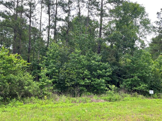 15841 Ridge Rock Road, Willis, TX 77378