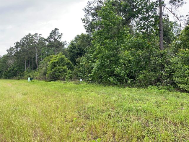 15841 Ridge Rock Road, Willis, TX 77378