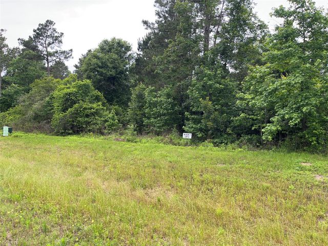 15841 Ridge Rock Road, Willis, TX 77378