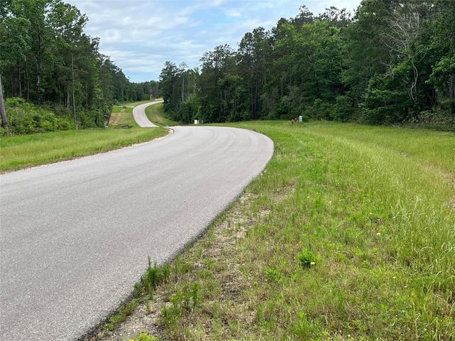 15841 Ridge Rock Road, Willis, TX 77378