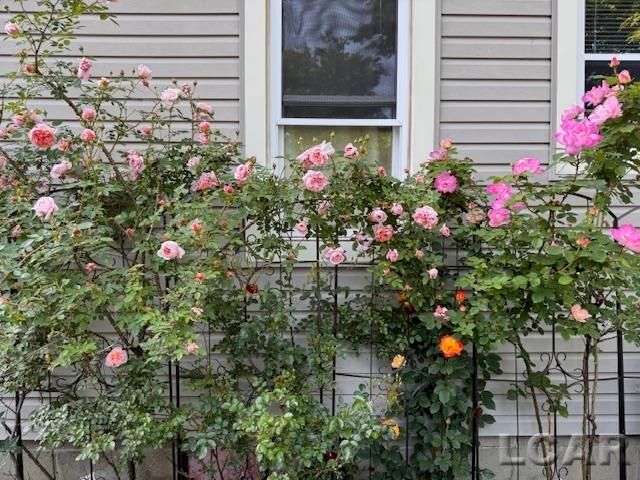 404 Outer Drive, Tecumseh, MI 49286