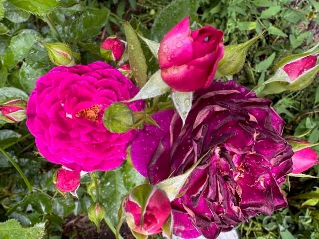 404 Outer Drive, Tecumseh, MI 49286