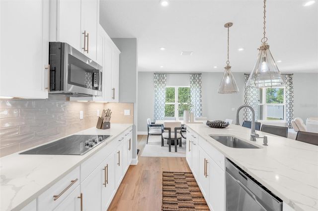 3009 ROBLES ROAD, Clermont, FL 34711