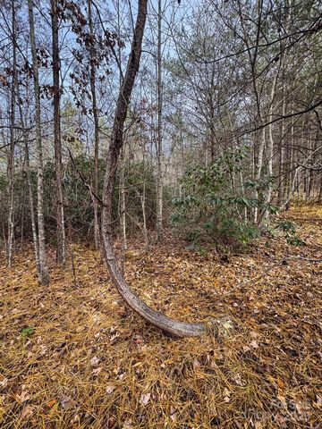 3510 US 64 Highway, Rutherfordton, NC 28139