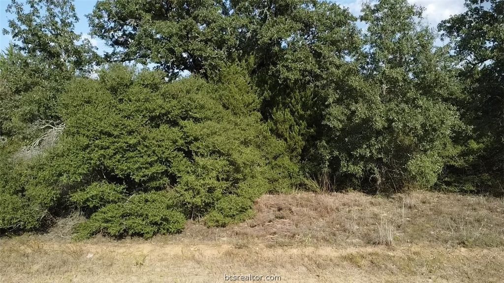 TBD Pin Oak Lane, Hilltop Lakes, TX 77871 — photo 2