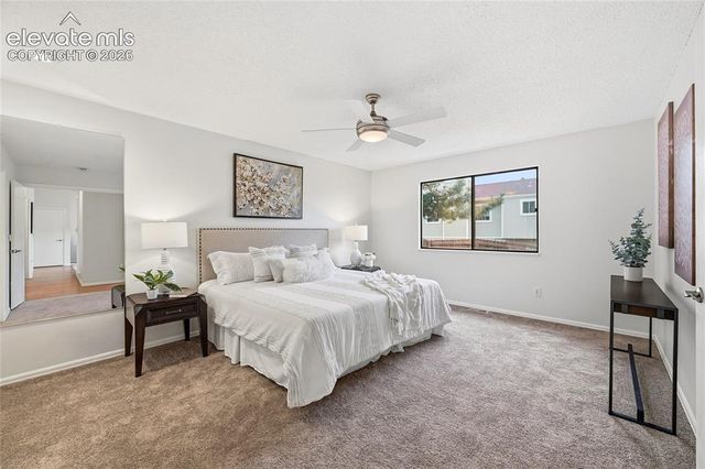 2733 Purgatory Drive, Colorado Springs, CO 80918