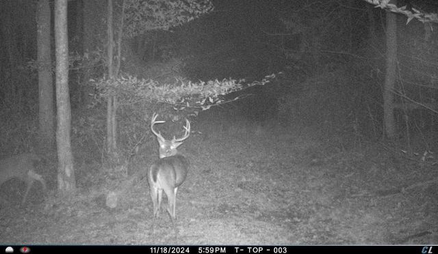 18261 Jacksonville Road, Glouster, OH 45732