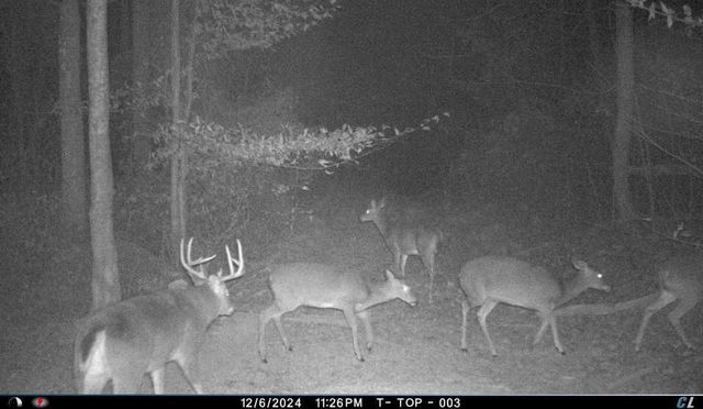 18261 Jacksonville Road, Glouster, OH 45732