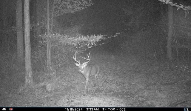 18261 Jacksonville Road, Glouster, OH 45732