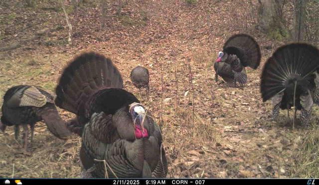 18261 Jacksonville Road, Glouster, OH 45732