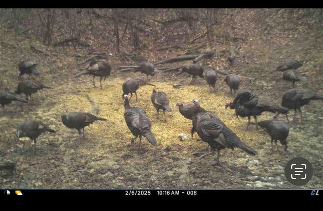 18261 Jacksonville Road, Glouster, OH 45732