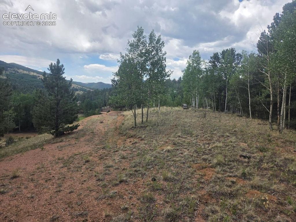 1124 Yorktown Road, Cripple Creek, CO 80813 — exterior