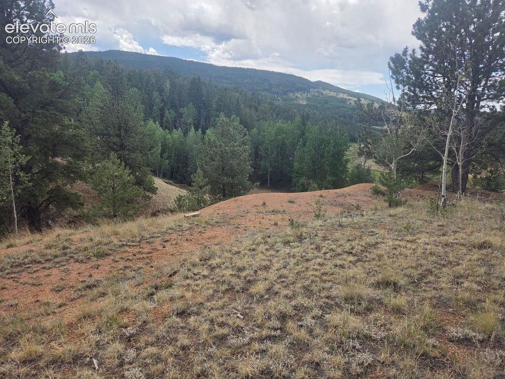 1124 Yorktown Road, Cripple Creek, CO 80813 — photo 2