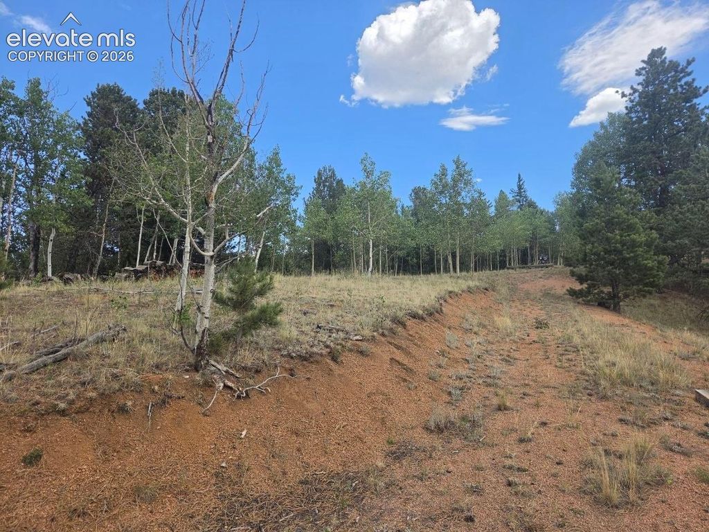 1124 Yorktown Road, Cripple Creek, CO 80813 — photo 3