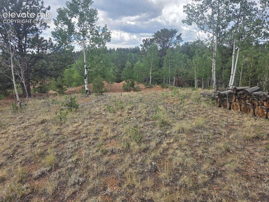1124 Yorktown Road, Cripple Creek, CO 80813 — photo 4