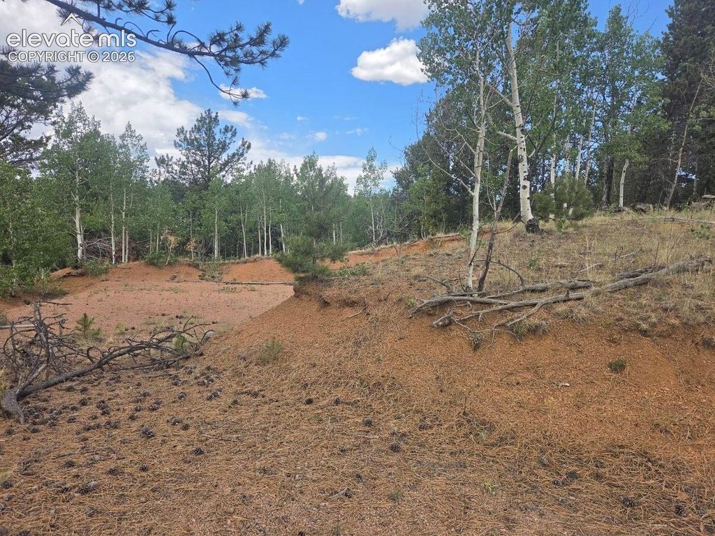 1124 Yorktown Road, Cripple Creek, CO 80813 — photo 5