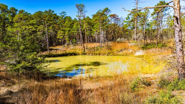 018 Magnolia Ranch Road, Onalaska, TX 77360