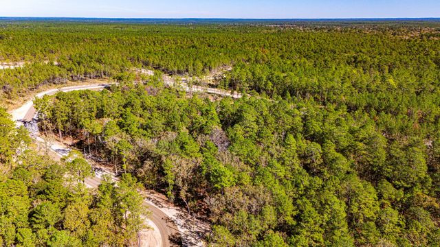 018 Magnolia Ranch Road, Onalaska, TX 77360