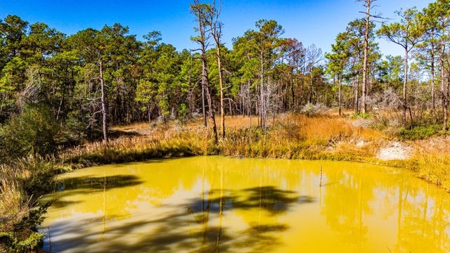 018 Magnolia Ranch Road, Onalaska, TX 77360