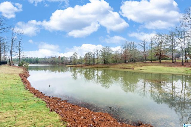 606 EMERALD TRACE, Chelsea, AL 35043