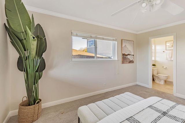 241 42nd Avenue, San Mateo, CA 94403