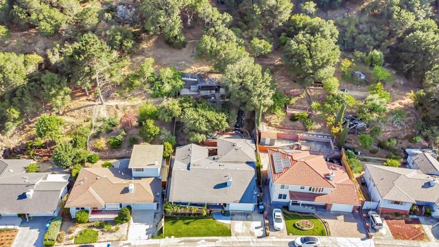 241 42nd Avenue, San Mateo, CA 94403