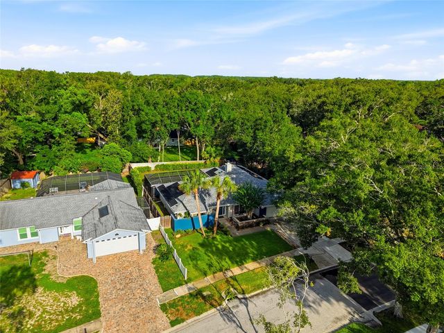 15908 HAMPTON VILLAGE DRIVE, Tampa, FL 33618
