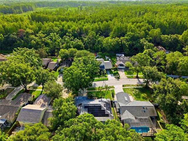 15908 HAMPTON VILLAGE DRIVE, Tampa, FL 33618
