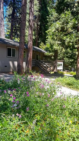 6135 Bucktail Ln, Pollock Pines, CA 95726