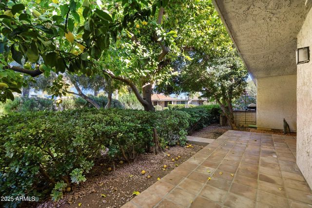 7718 E VISTA Drive, Scottsdale, AZ 85250