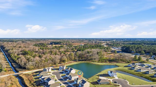 308 Picnic Basket Pl., Longs, SC 29568