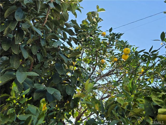 17700 WESTERN Avenue 1, Gardena, CA 90248