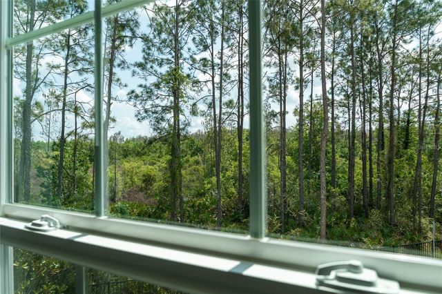 10844 FOWLERS BLUFF COURT, Tampa, FL 33647