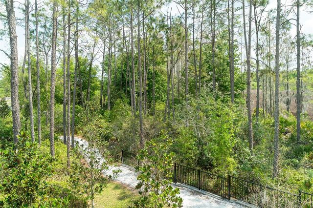 10844 FOWLERS BLUFF COURT, Tampa, FL 33647