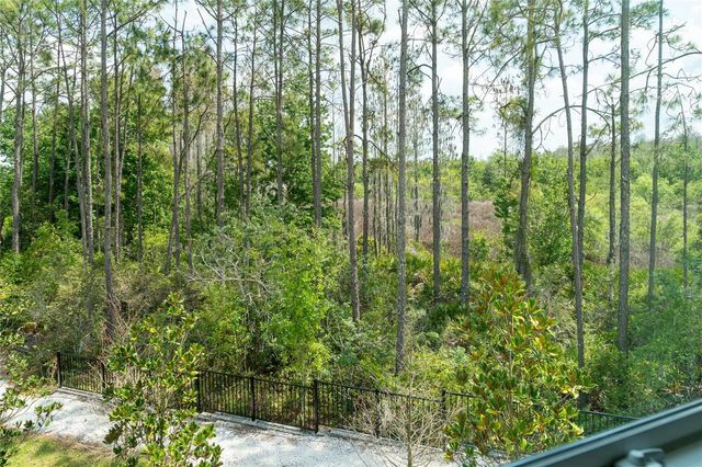 10844 FOWLERS BLUFF COURT, Tampa, FL 33647