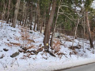 0 VT Route 30, Wells, VT 05774
