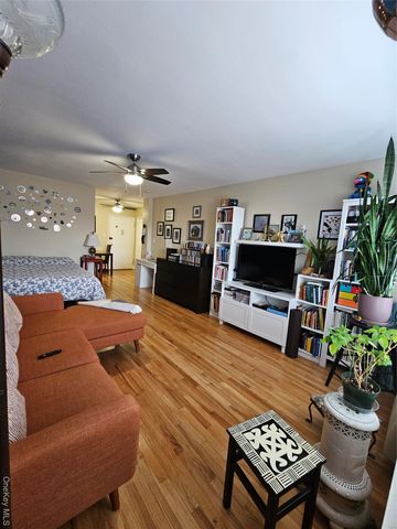 100 S Ocean Avenue S 3U, Freeport, NY 11520