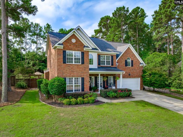 217 Churchview Loop, Lexington, SC 29073