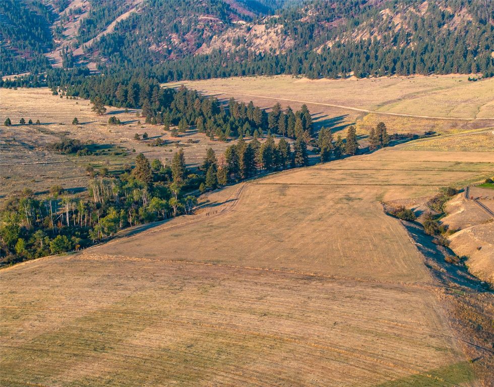 8337 Lamar Trail, Florence, MT 59833 photo 7