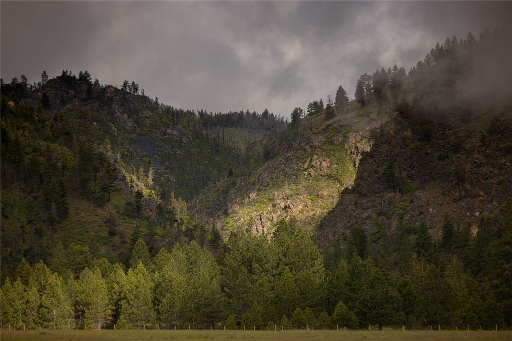 8337 Lamar Trail, Florence, MT 59833 photo 8