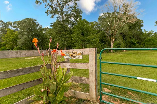 16275 Alphonse Forbes Rd, Greenwell Springs, LA 70739