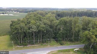 18.271 ac., Tract 5 SHORTLY RD., Georgetown, DE 19947