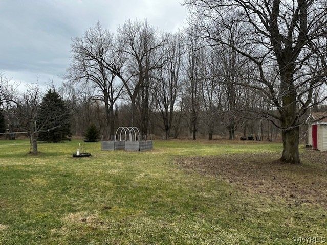 11798 Route 98, Freedom, NY 14065