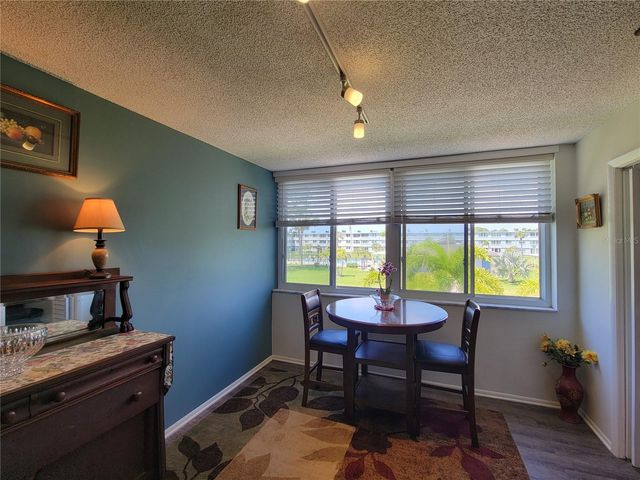 4720 LOCUST STREET NE 219, St Petersburg, FL 33703