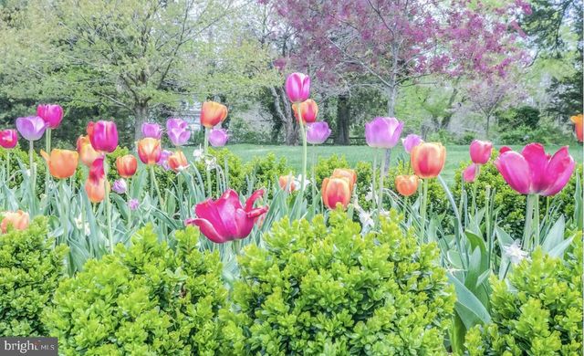 1403 WASHINGTON AVE, Fredericksburg, VA 22401