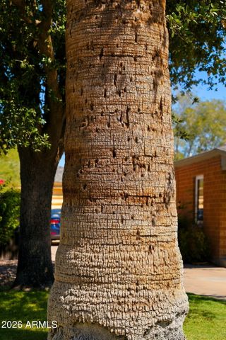 1730 W MULBERRY Drive, Phoenix, AZ 85015