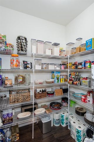 202 Burrograss Drive, Wentzville, MO 63385