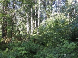 10608 Edgewood Drive, Anderson Island, WA 98303