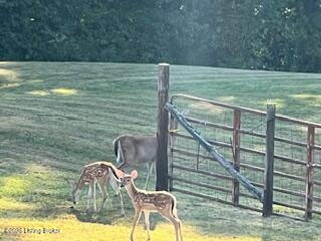4411 State Highway 1066, Bloomfield, KY 40008
