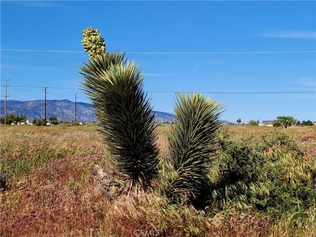 0 Phelan, Phelan, CA 92371